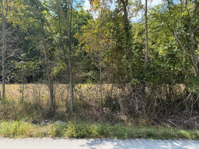 Lot 2 Richardsville Road Property Photo 6