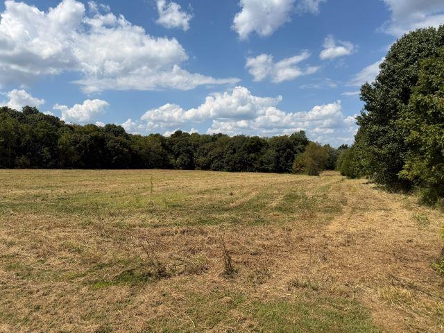 Lot 2 Richardsville Road Property Photo 8