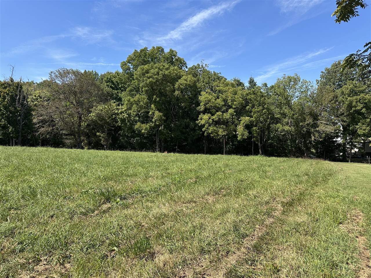 Lot 5 N Livingston Road Property Photo 1