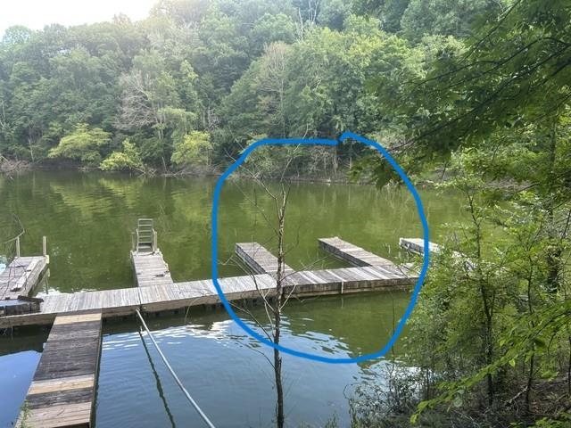 227 Pineview Drive Property Photo 10