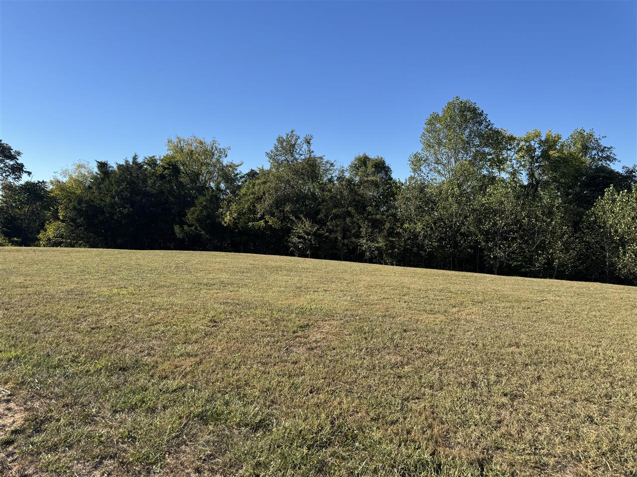 250 Phoenix Drive Property Photo 1