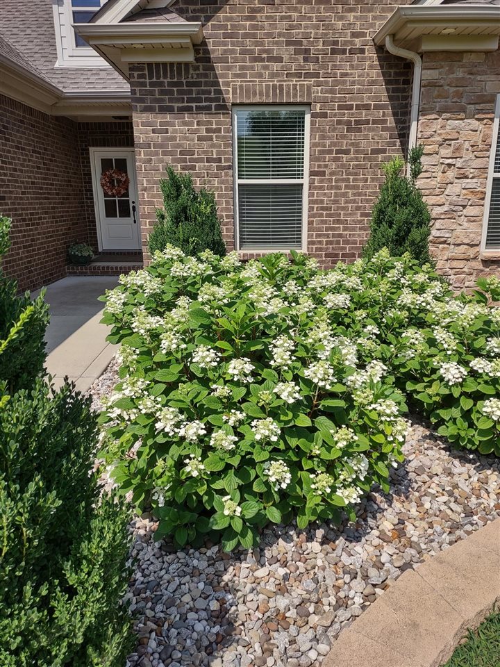 491 Dunedin Way Property Photo 57