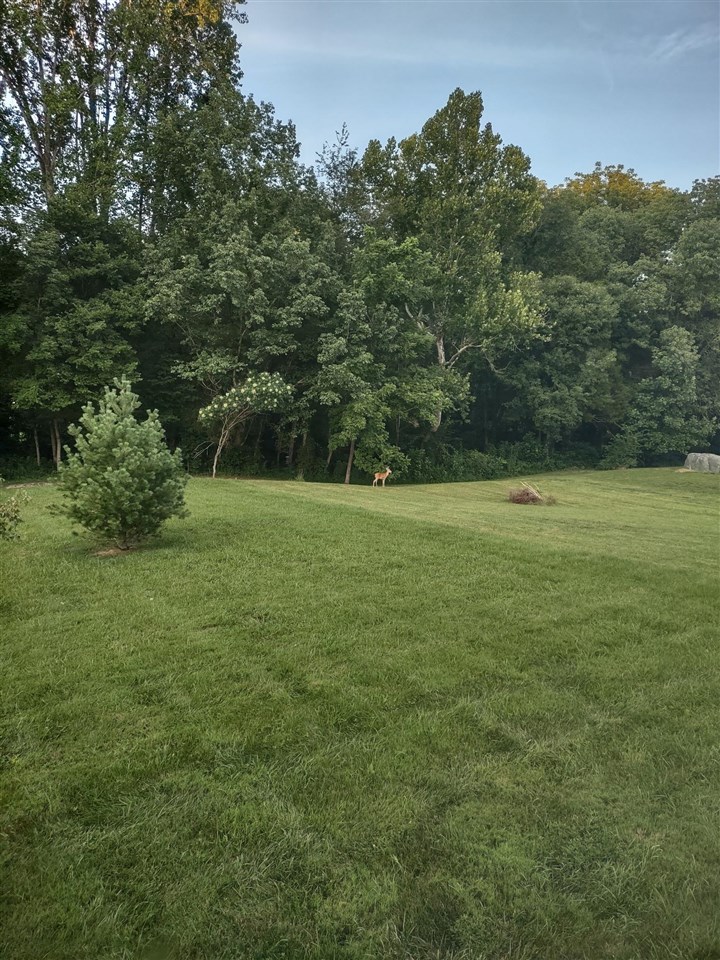 491 Dunedin Way Property Photo 59