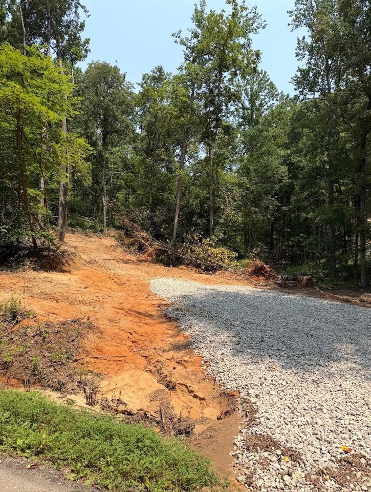 0 Lot 7 Frenchman Knob Road Property Photo 1