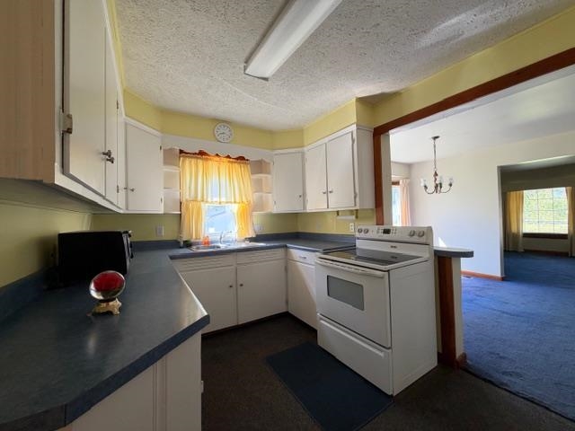 217 Allison Street Property Photo 18
