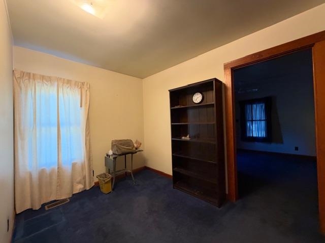 217 Allison Street Property Photo 24