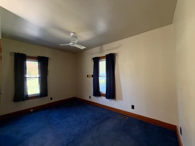 217 Allison Street Property Photo 26