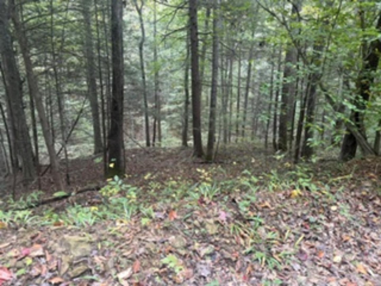 0 Elkhorn Trace Property Photo 1