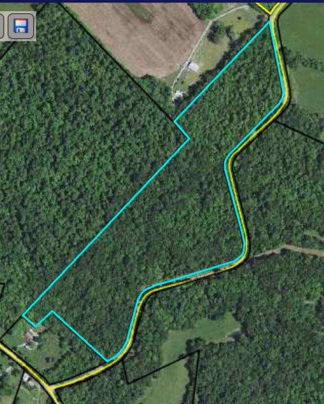 33.75 Acres Lack Road Property Photo 1