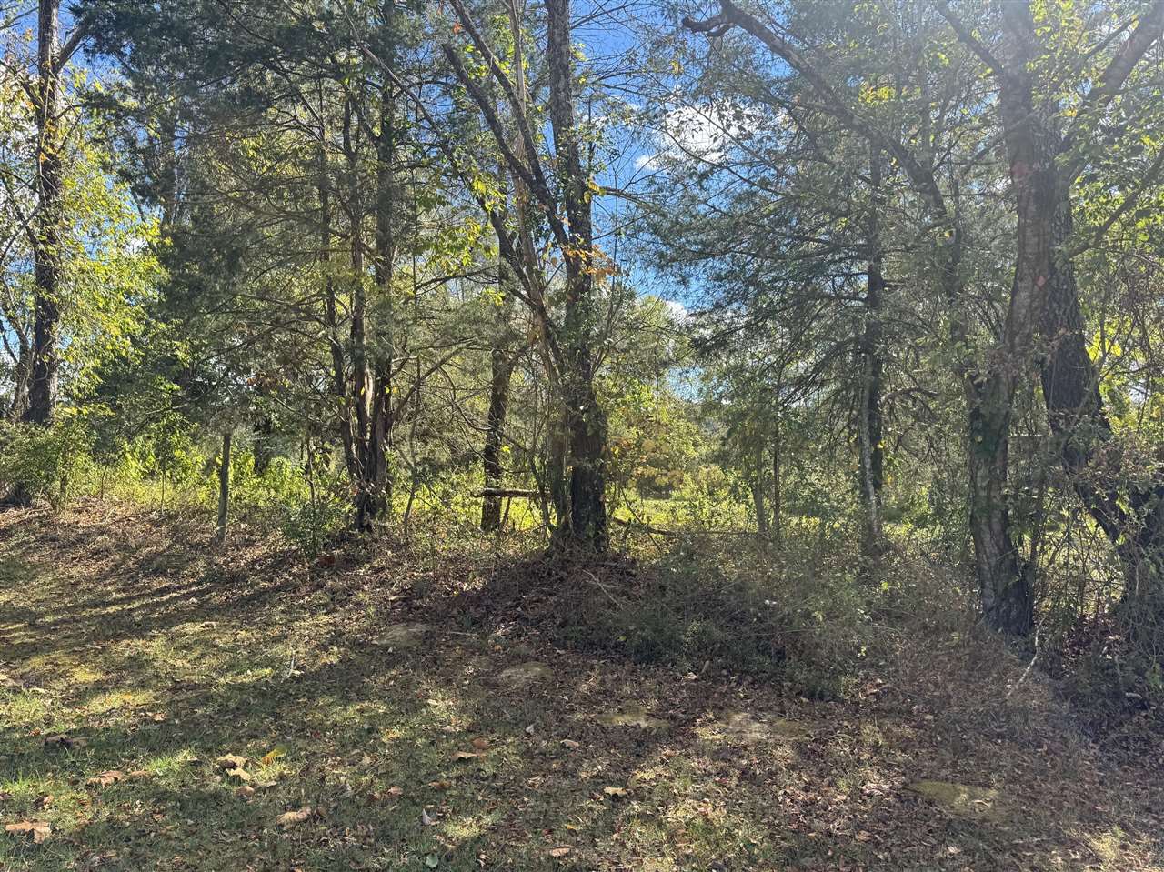 0 Turkey Neck Bend Road Property Photo 1
