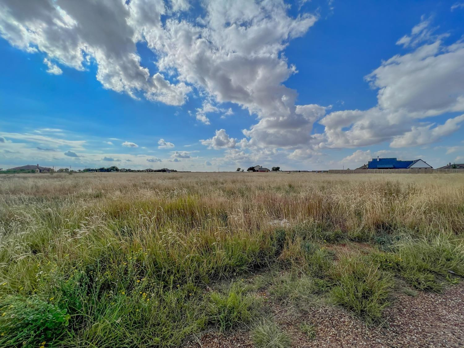 6787 Trump Court Property Photo 6