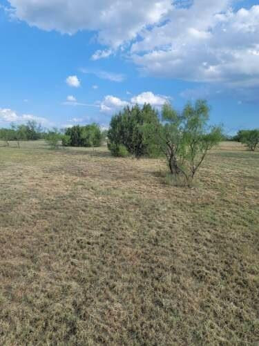 314 Prairie Point Property Photo 5