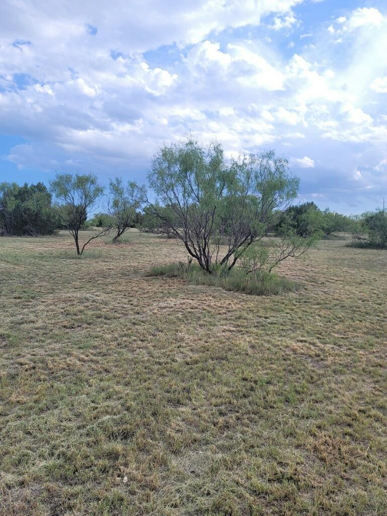 314 Prairie Point Property Photo 10
