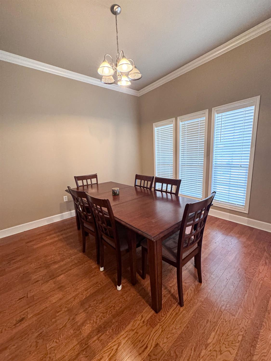 804 Birch Street Property Photo 4