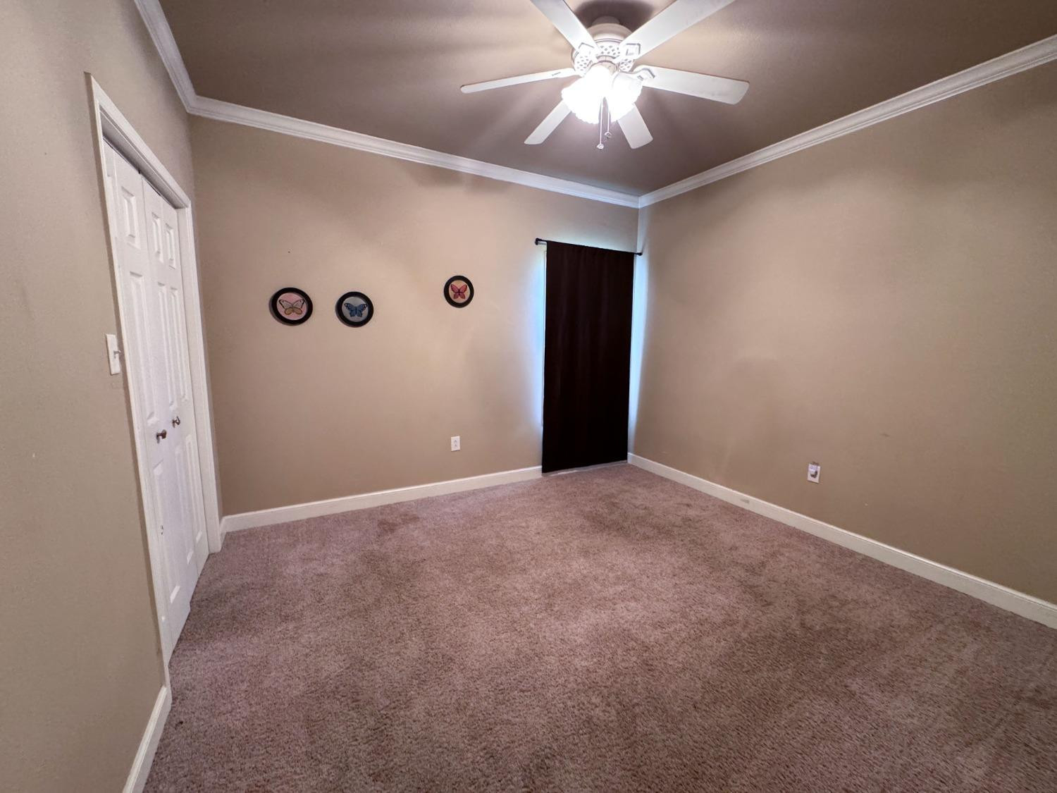 804 Birch Street Property Photo 22