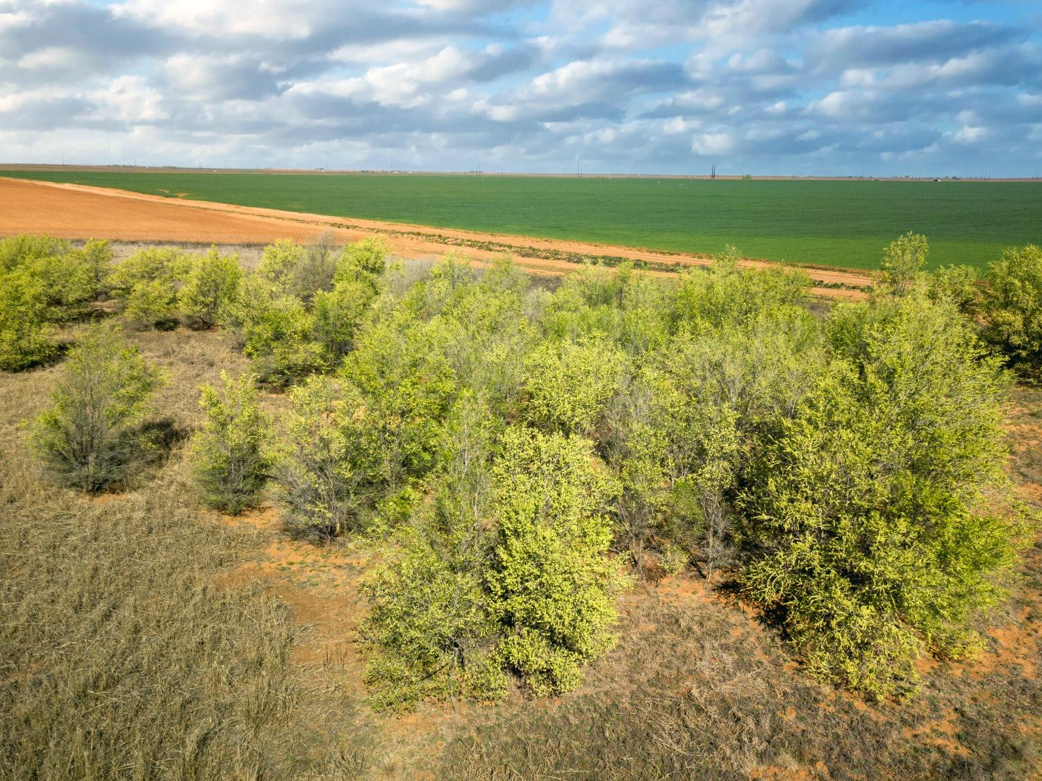 4101 Hawk Property Photo