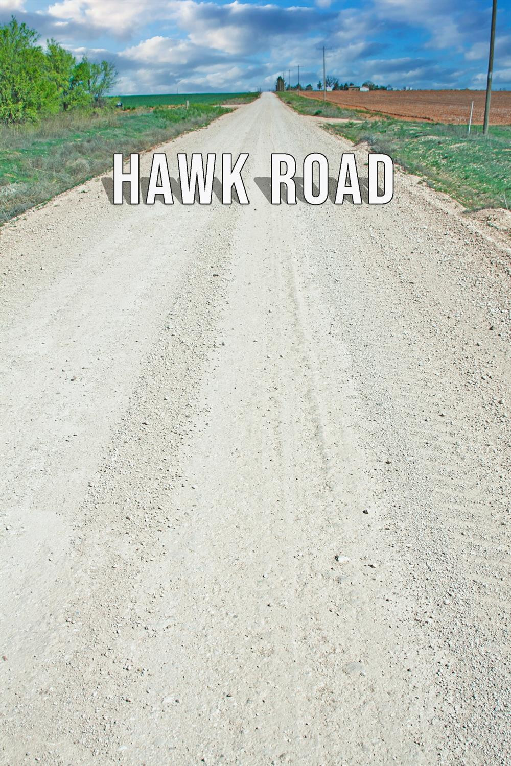 4101 Hawk Property Photo 5