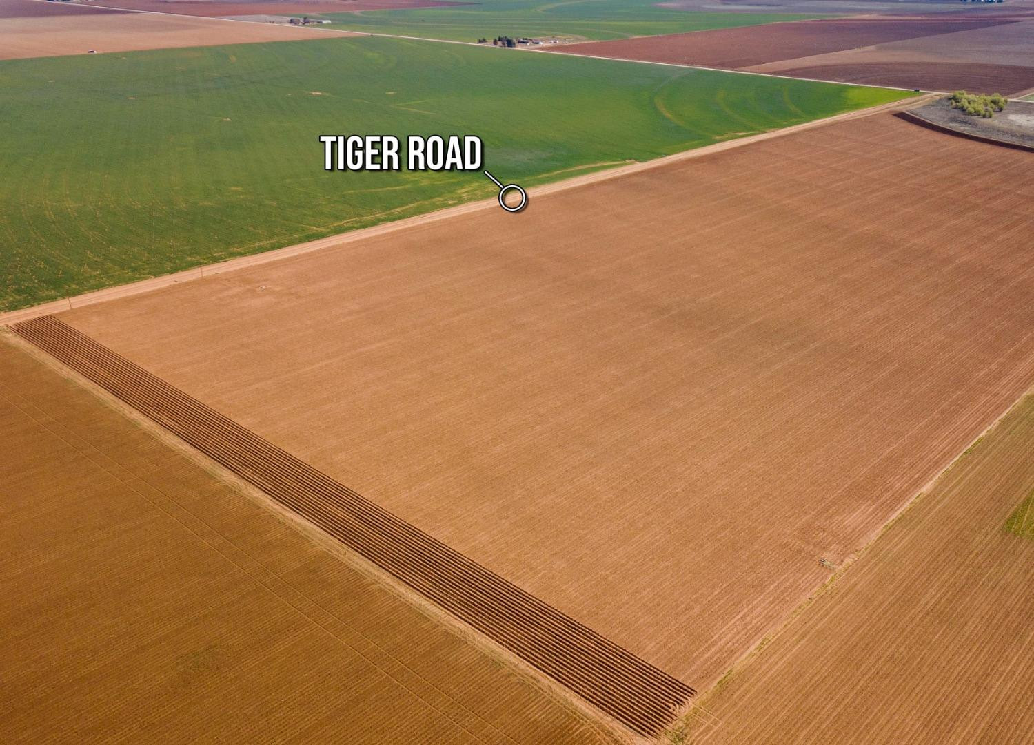 5985 Tiger Property Photo 2