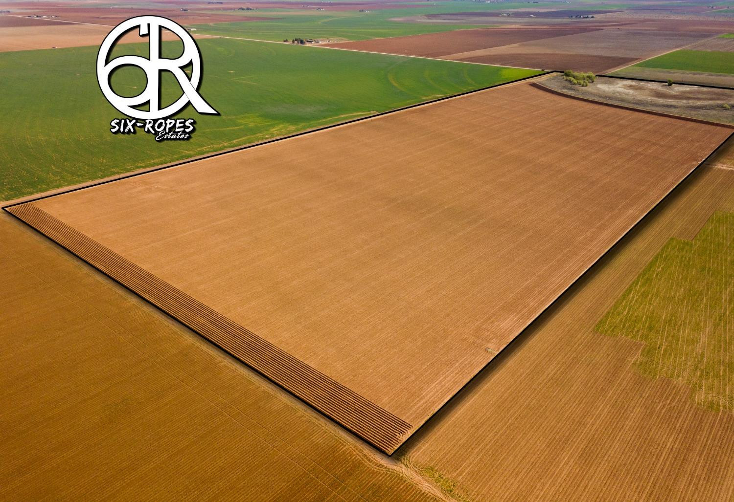 5985 Tiger Property Photo 6