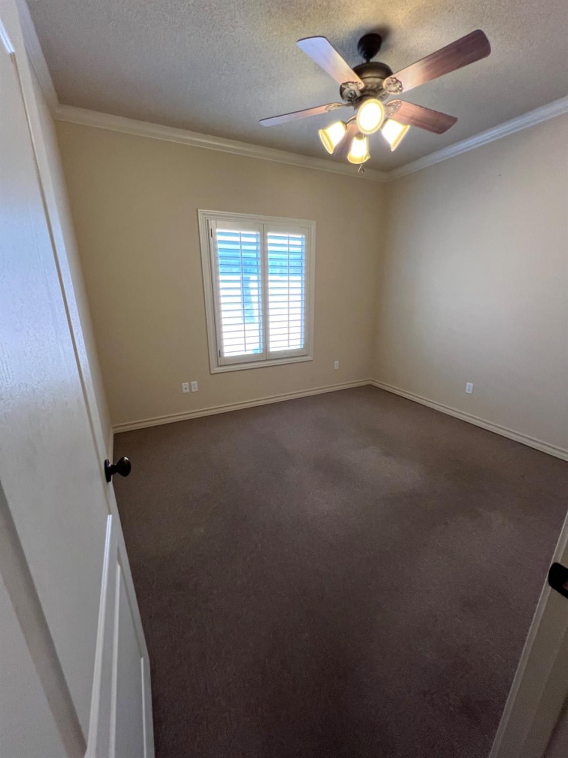 3912 S 100th Place Property Photo 19