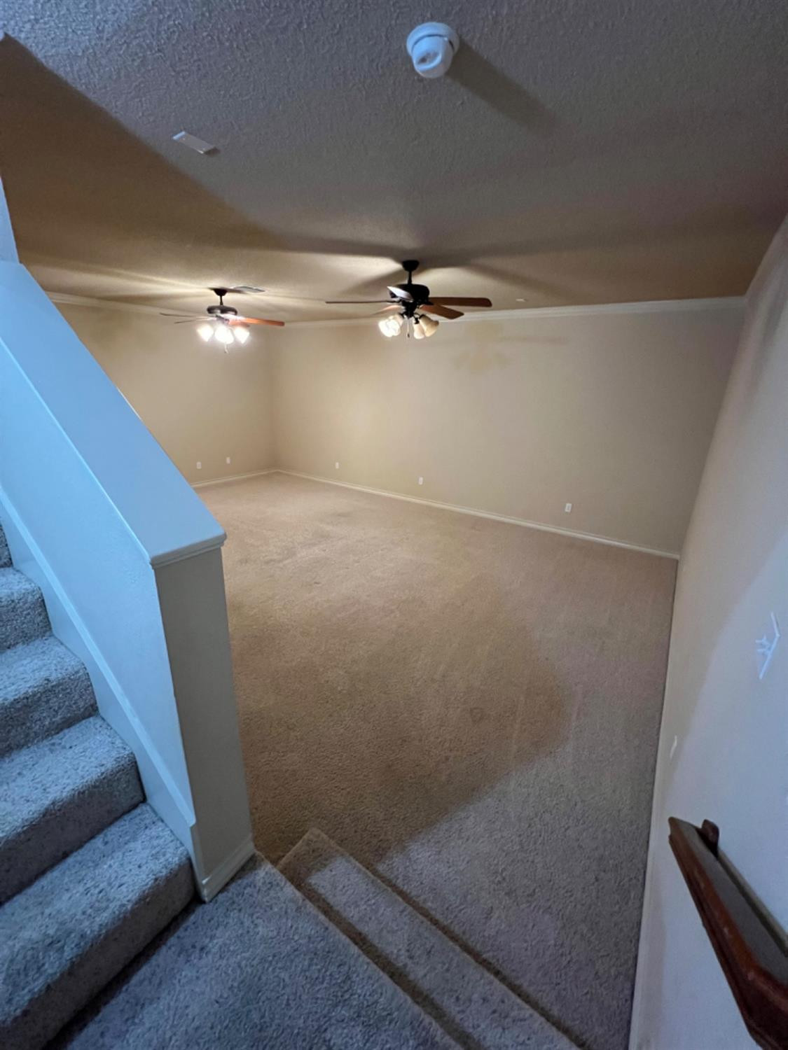 3912 S 100th Place Property Photo 31