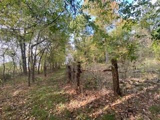 0 County Road 37100 Property Photo 1