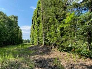 0 County Road 37100 Property Photo 2