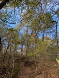 0 County Road 37100 Property Photo 26