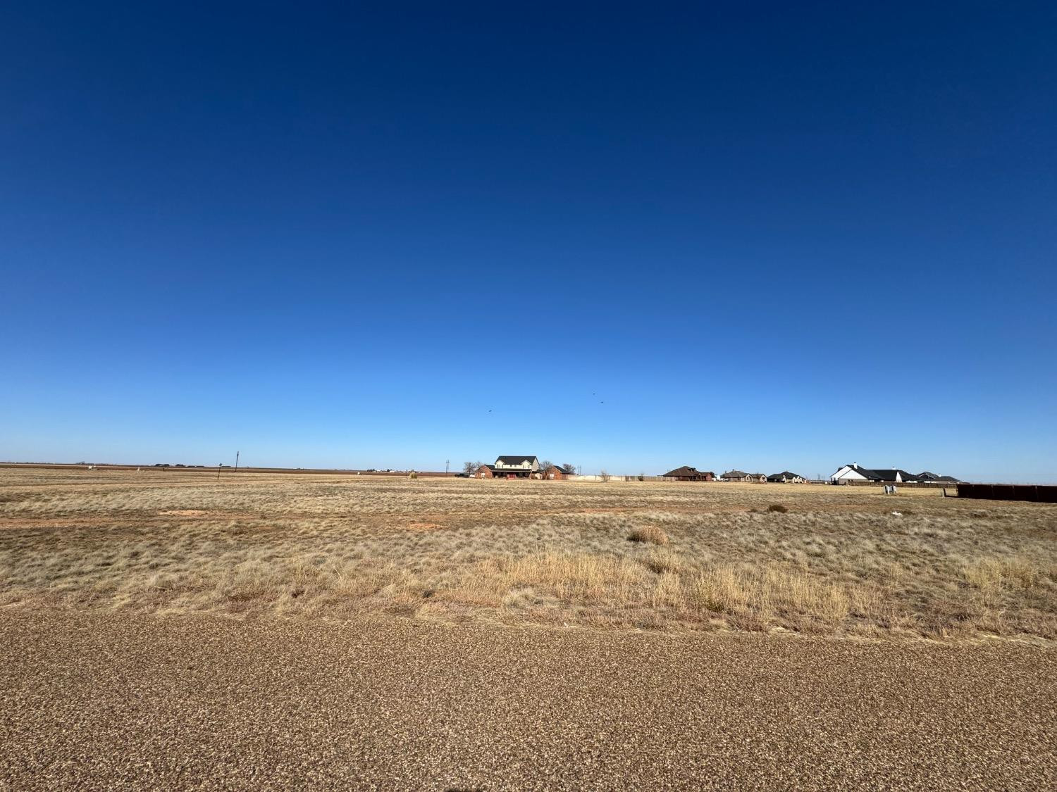 6783 Trump Property Photo 5