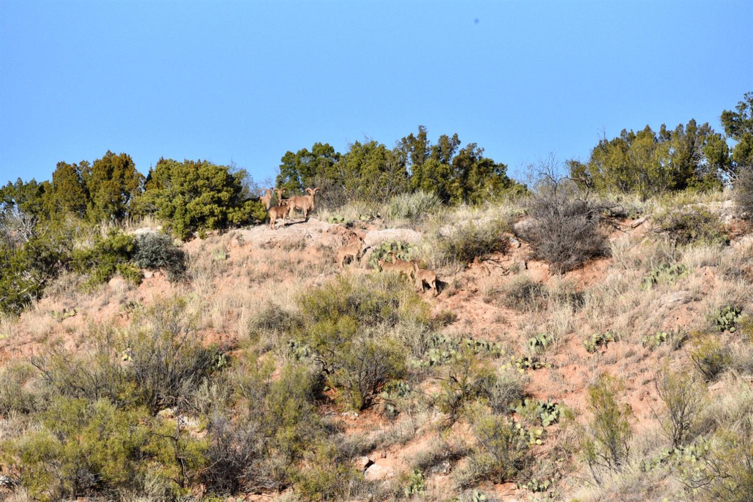0 State Highway 256 Property Photo 15