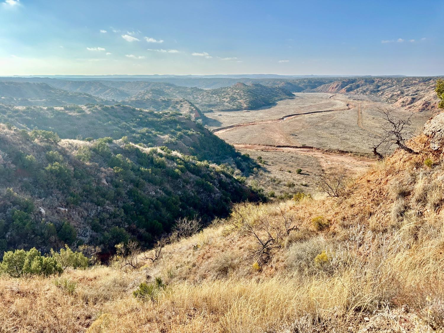 0 State Highway 256 Property Photo 26