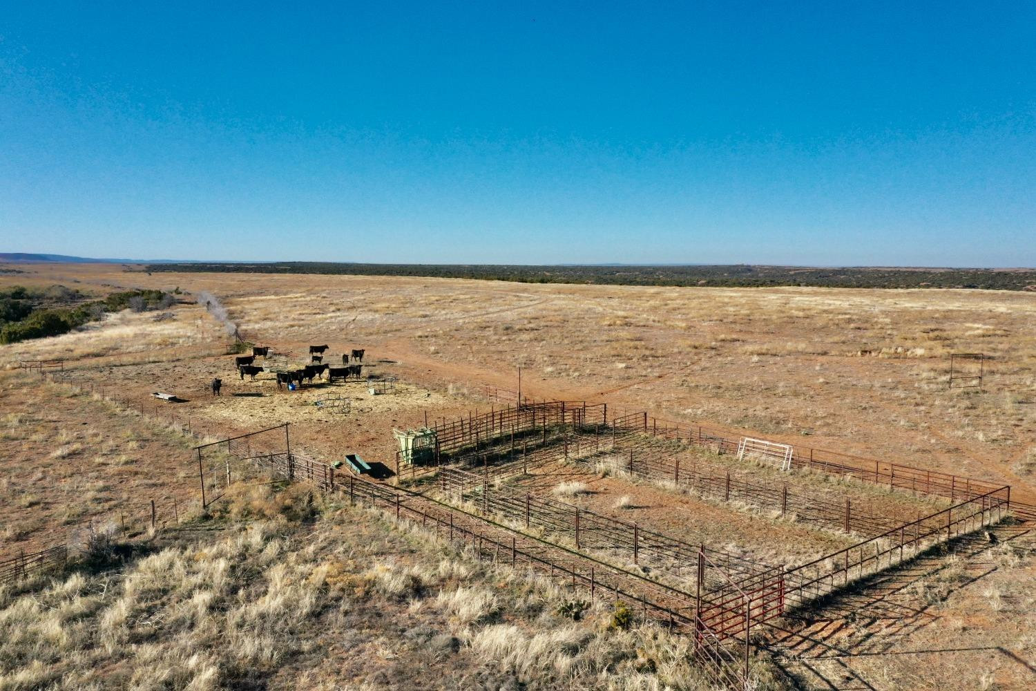 0 State Highway 256 Property Photo 41