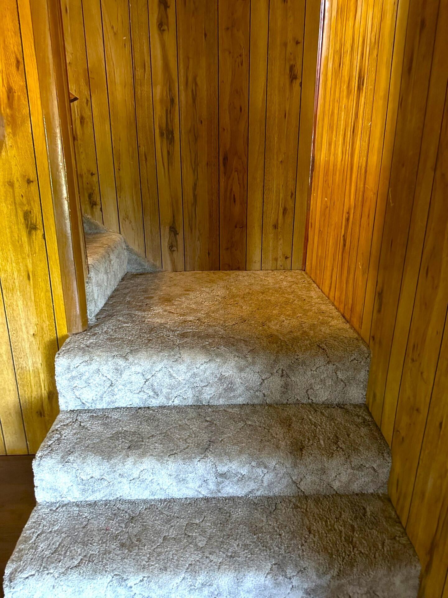 415 Cowan Avenue Property Photo 12