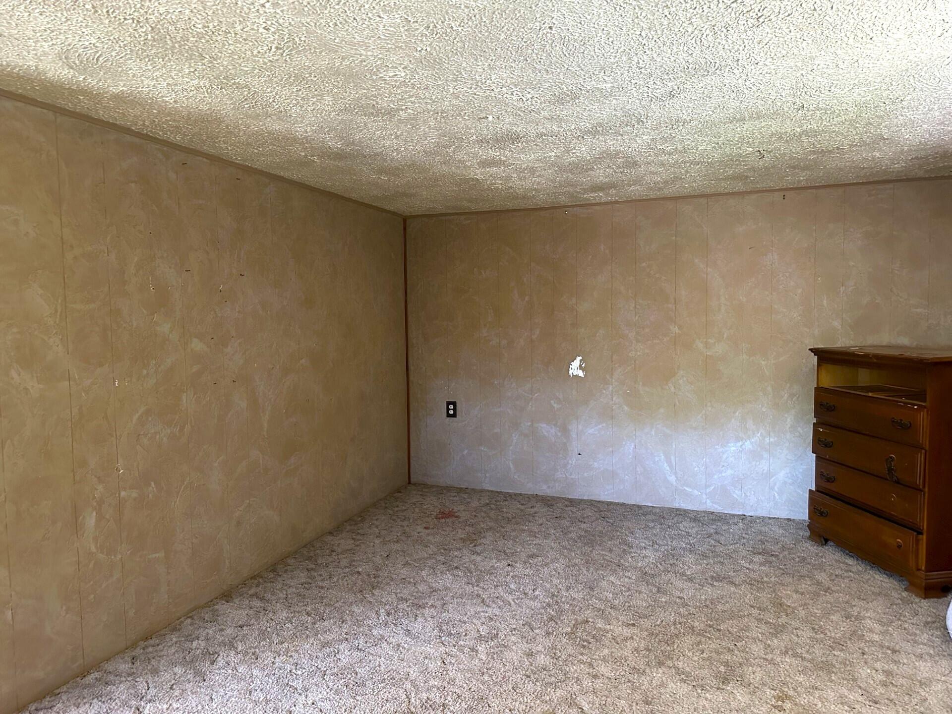 415 Cowan Avenue Property Photo 14