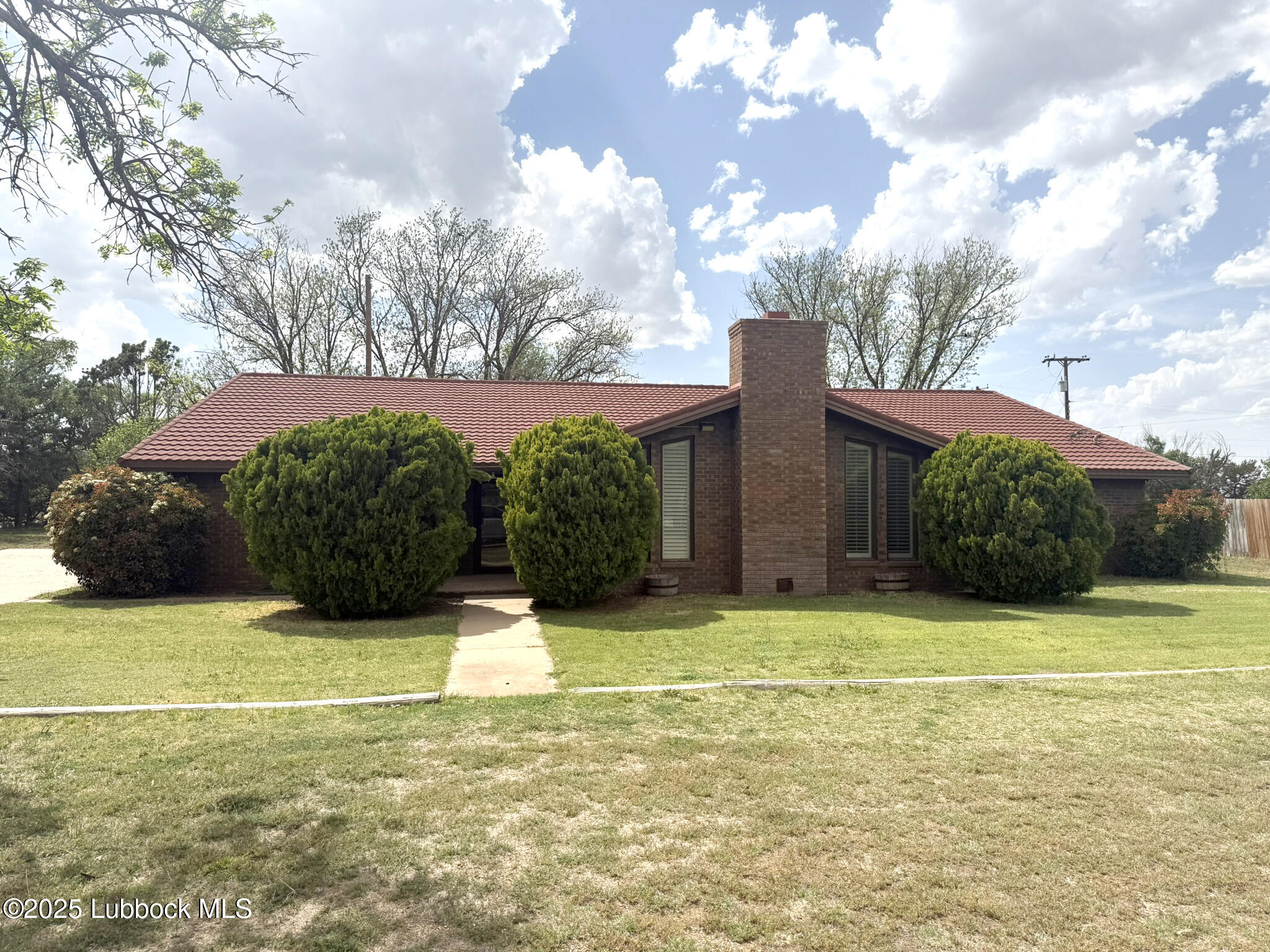101 Dana Avenue Property Photo 2