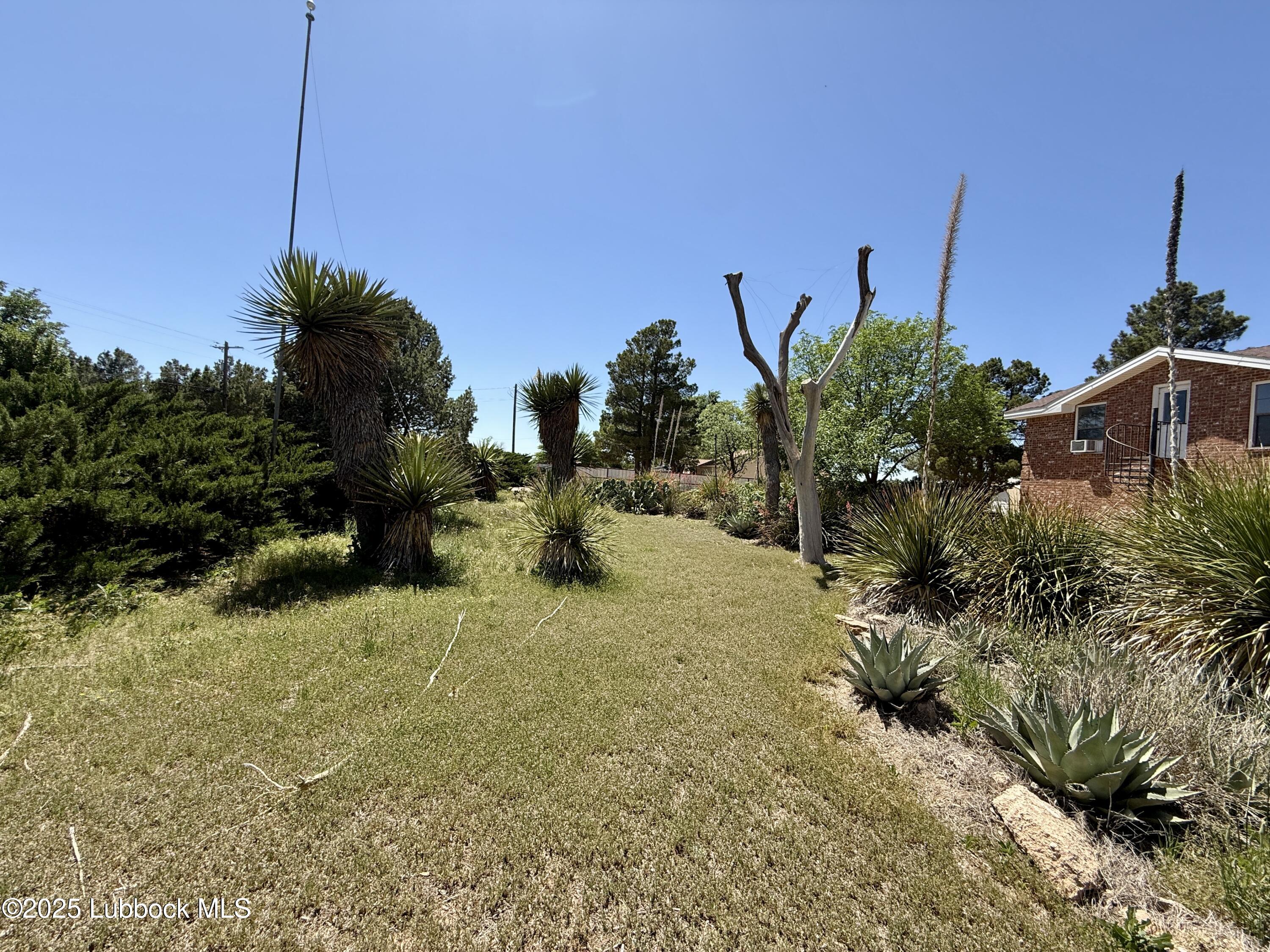 8014 County Rd 5840 Property Photo 14