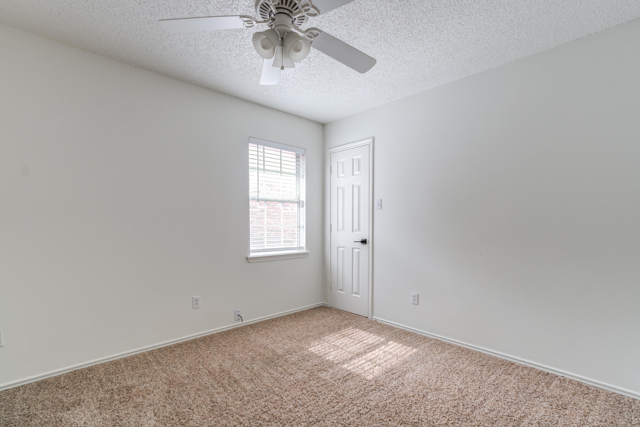 6217 7th Street Property Photo 27