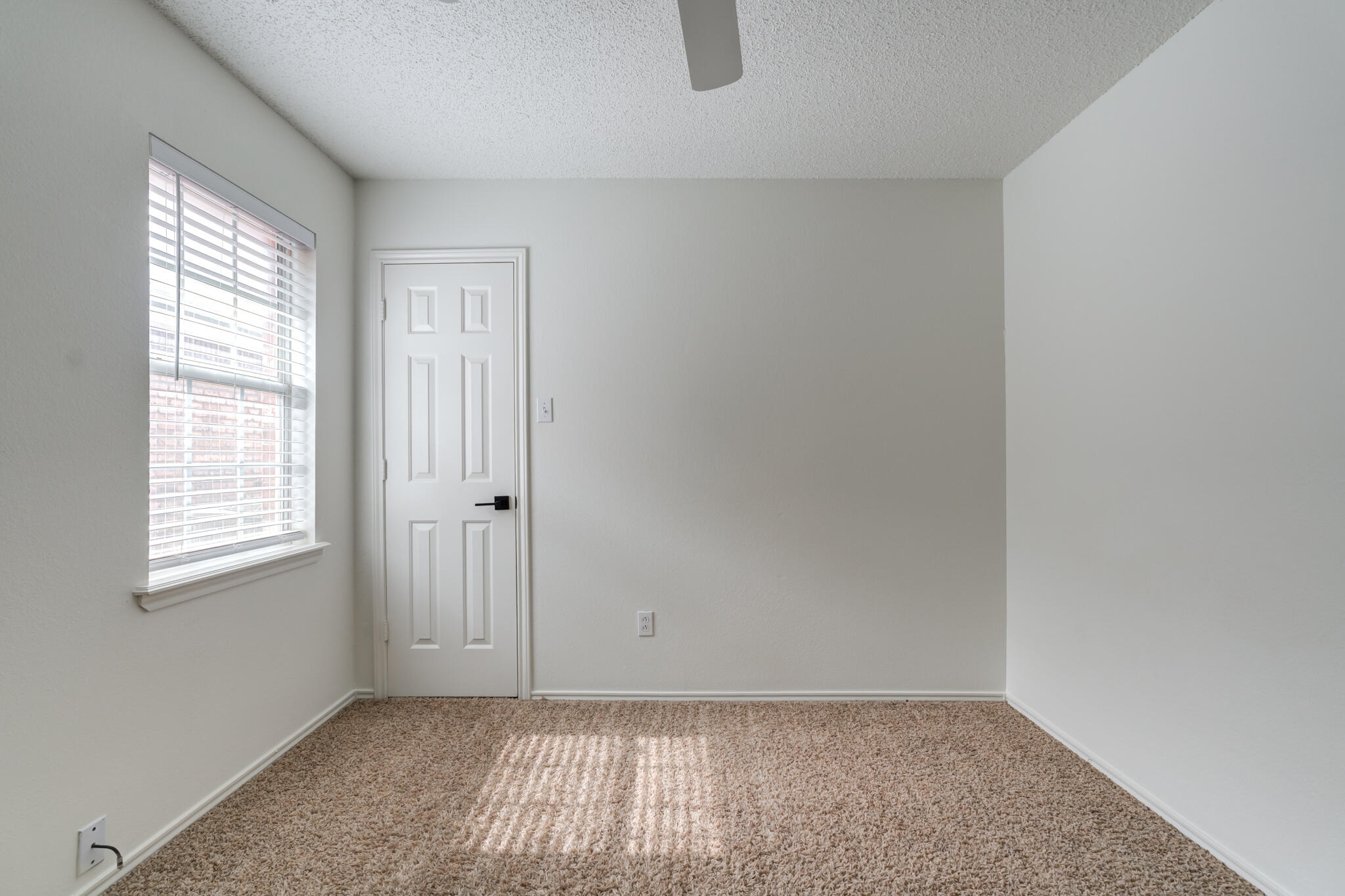 6217 7th Street Property Photo 28