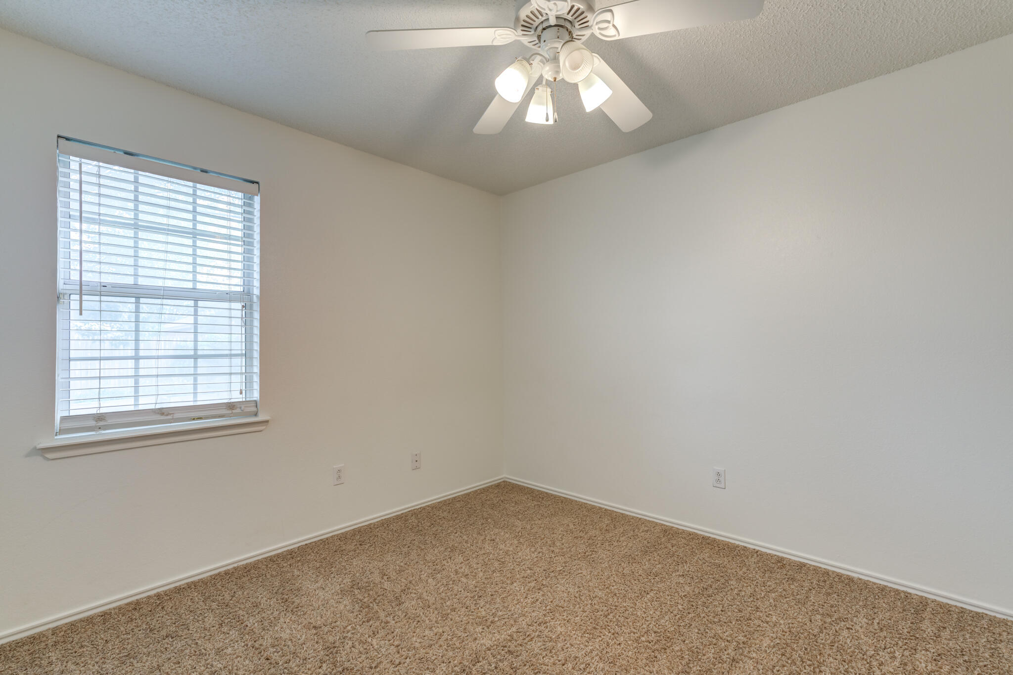 6217 7th Street Property Photo 29