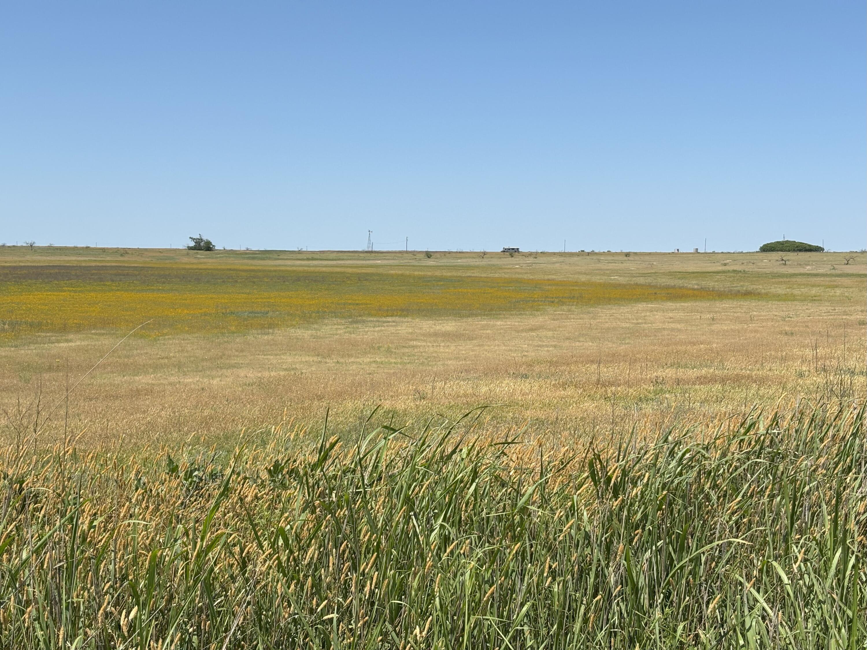Co Rd 150 Property Photo 1