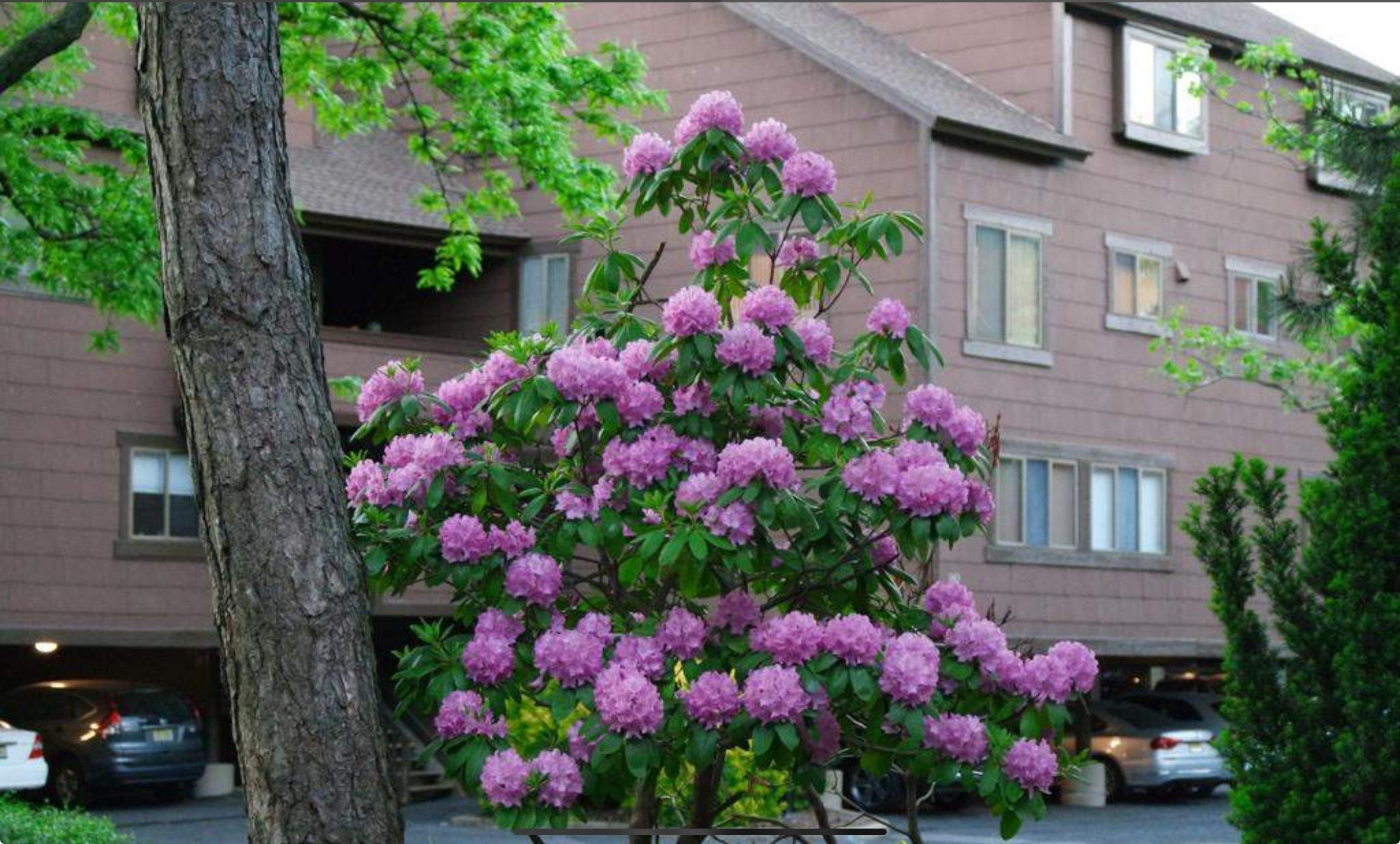 392 Whimbrel Lane 392 Property Photo 25