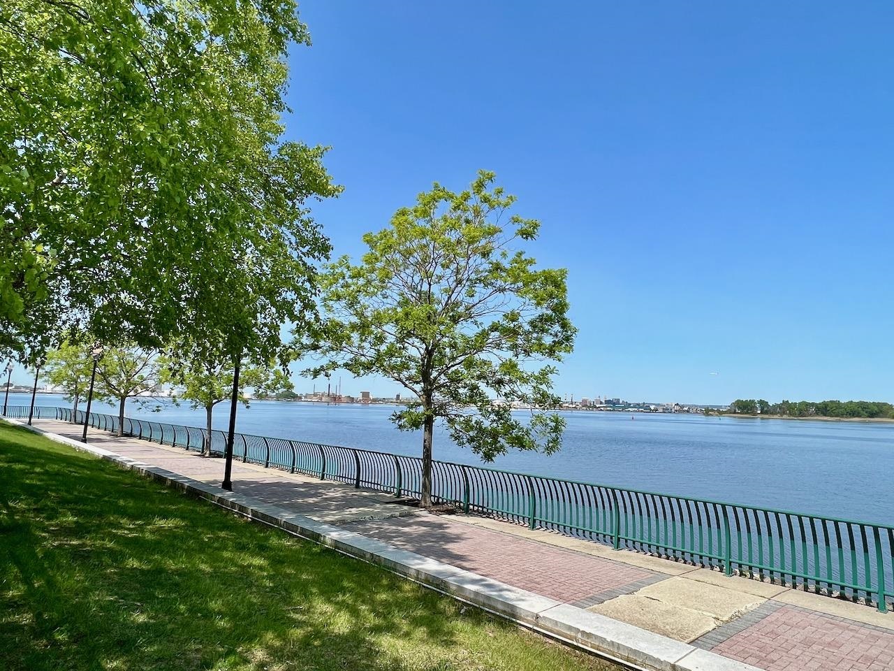 6 Mcmartin Ct Property Photo 17