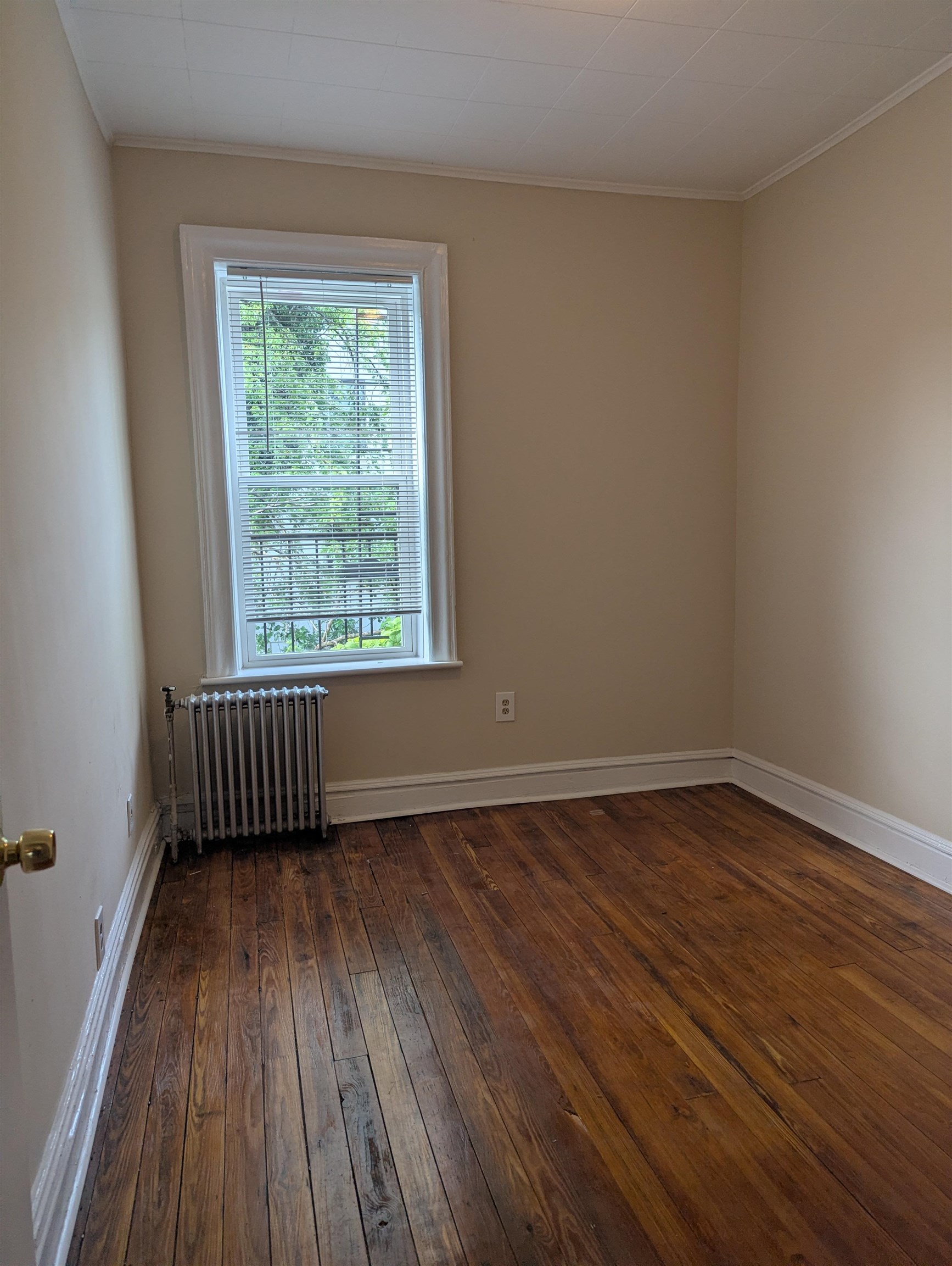 63 Hopkins Ave 6 Property Photo 5