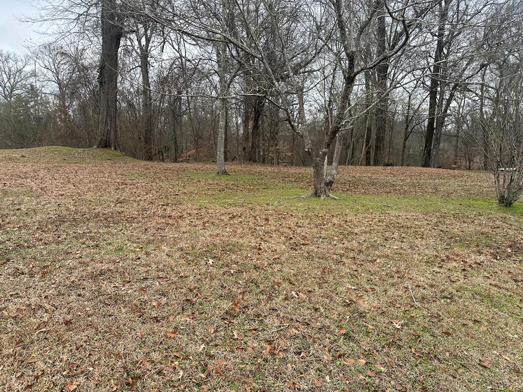 0 Ridgelawn Property Photo 1