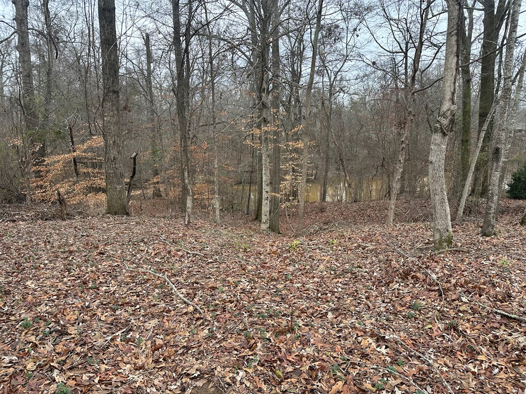 0 Ridgelawn Property Photo 2