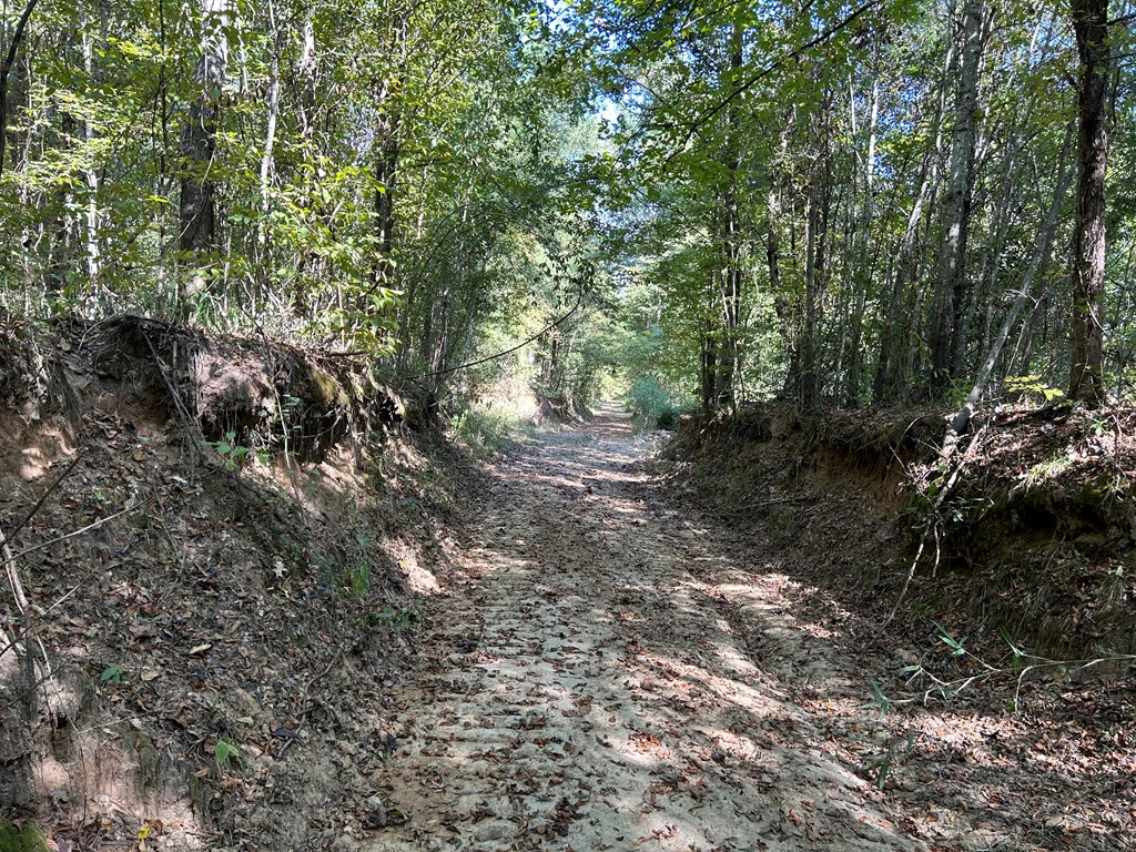 X Dirt Road Off Of Shaifer Road Property Photo 28