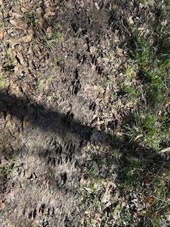 X Dirt Road Off Of Shaifer Road Property Photo 60