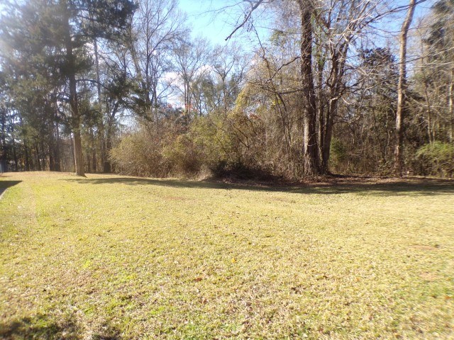 1060 Holt Dr Property Photo 3