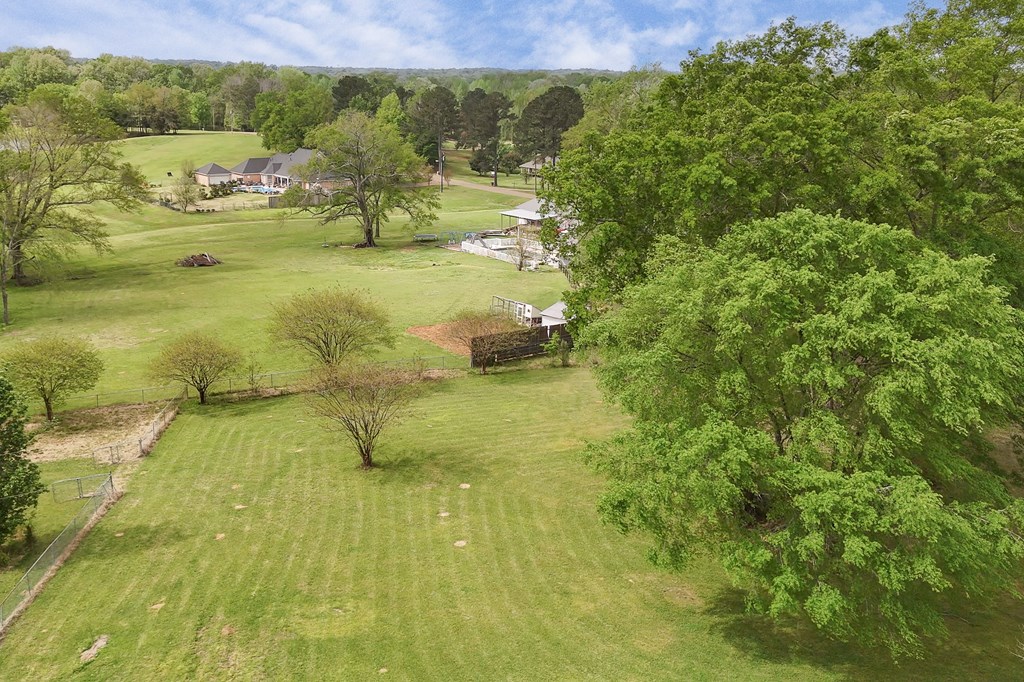 5285 Williamson Rd Property Photo 11