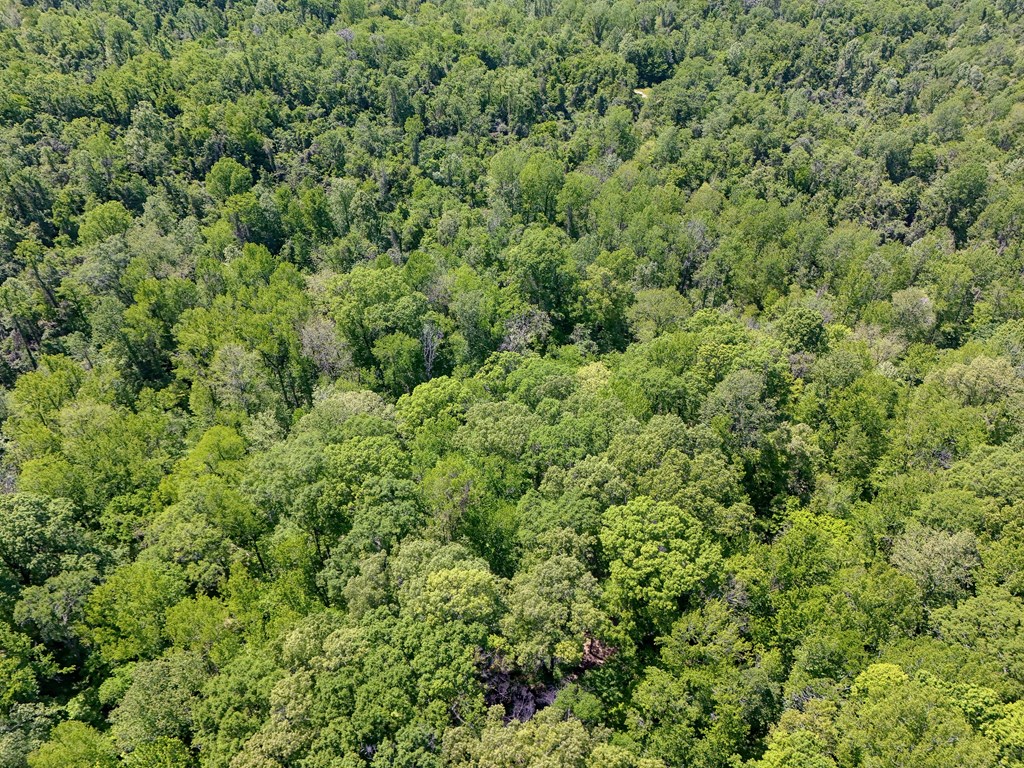 10 Indian Hills Road Property Photo 50